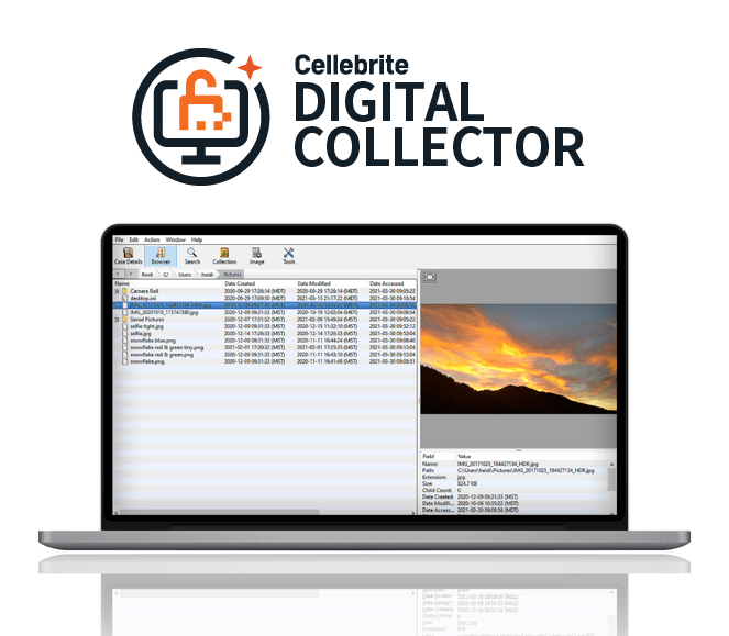 Digital Collector UI